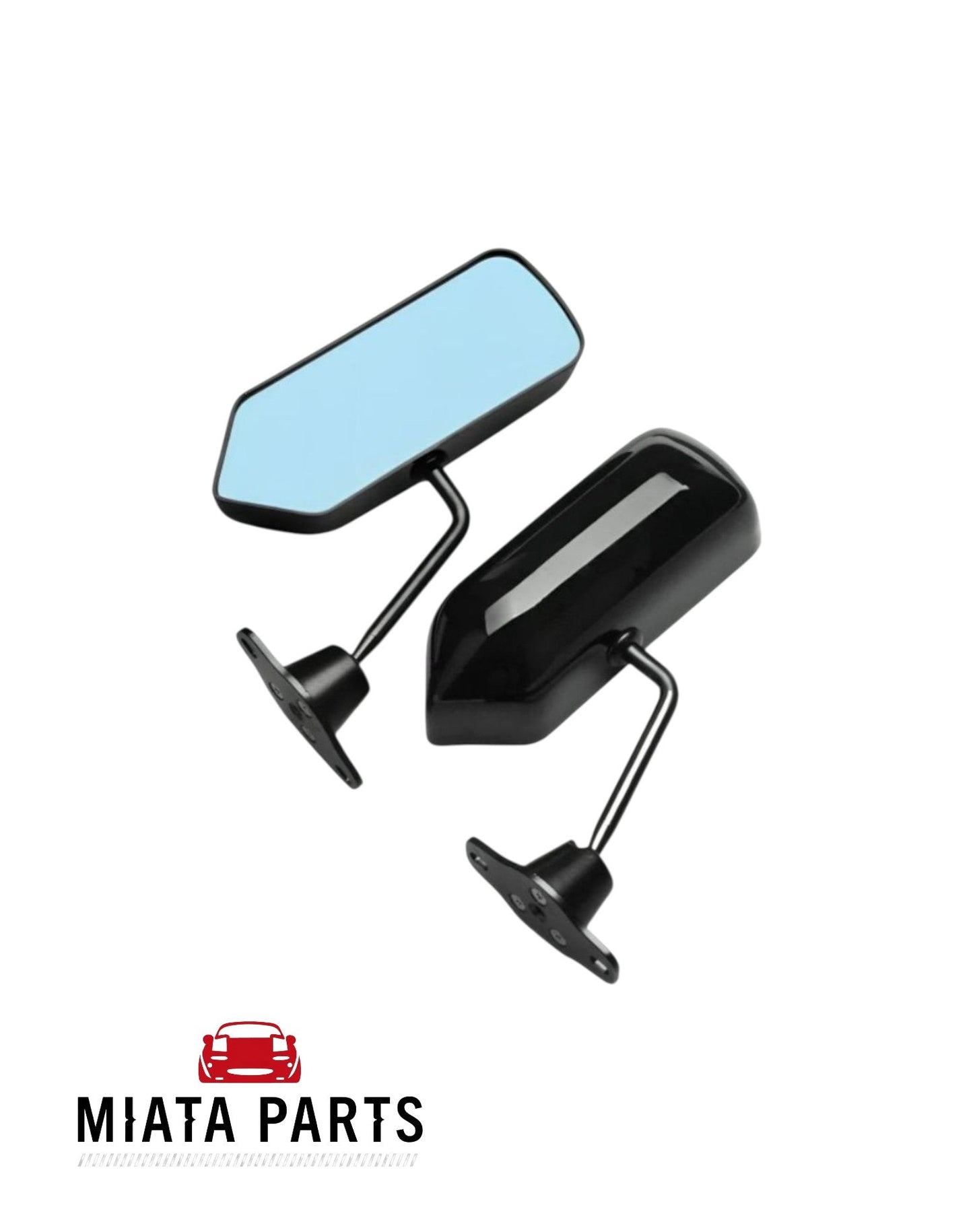 Black Wing Mirrors